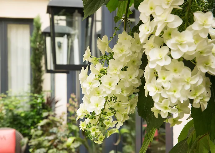 Hotel Villa Madame - Saint-Germain-Des-Pres Paris